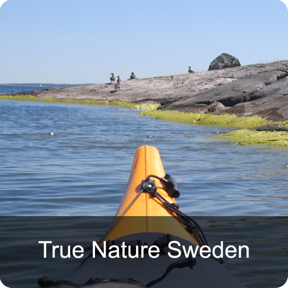 True Nature Sweden